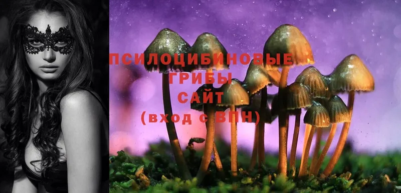 Галлюциногенные грибы Magic Shrooms  Белая Калитва 